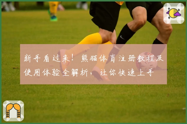 新手看过来！熊猫体育注册教程及使用体验全解析，让你快速上手