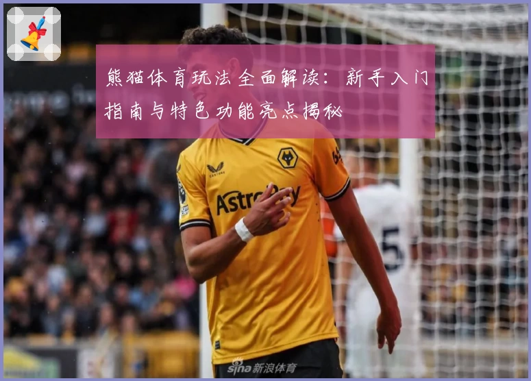熊猫体育玩法全面解读：新手入门指南与特色功能亮点揭秘