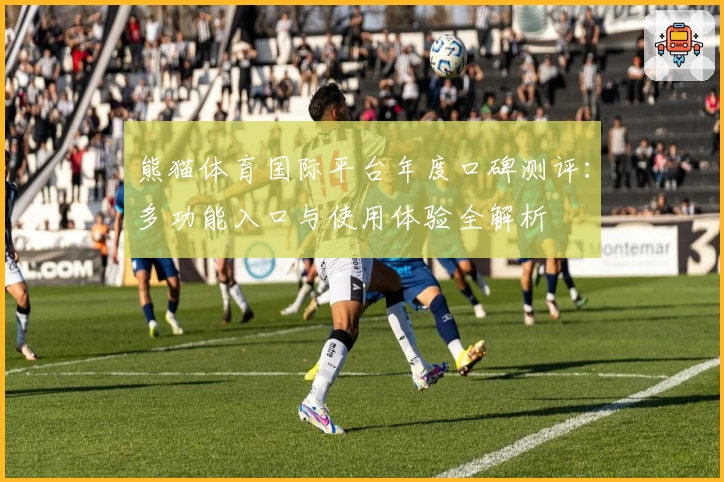 熊猫体育国际平台年度口碑测评：多功能入口与使用体验全解析