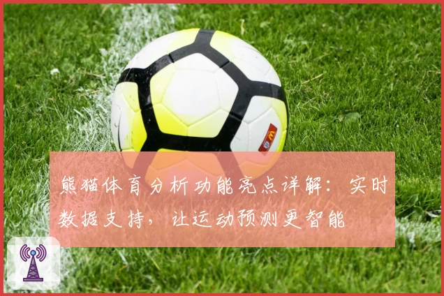 熊猫体育分析功能亮点详解：实时数据支持，让运动预测更智能
