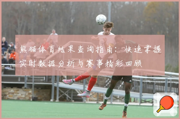 熊猫体育结果查询指南：快速掌握实时数据分析与赛事精彩回顾