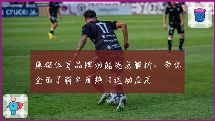 熊猫体育品牌功能亮点解析，带你全面了解年度热门运动应用