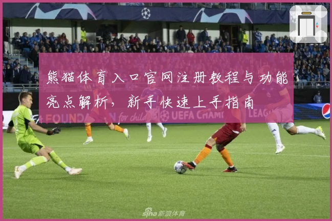 熊猫体育入口官网注册教程与功能亮点解析，新手快速上手指南