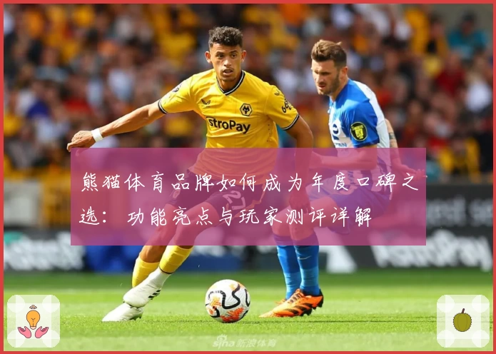 熊猫体育品牌如何成为年度口碑之选:功能亮点与玩家测评详解