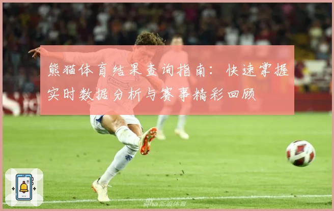 熊猫体育结果查询指南：快速掌握实时数据分析与赛事精彩回顾