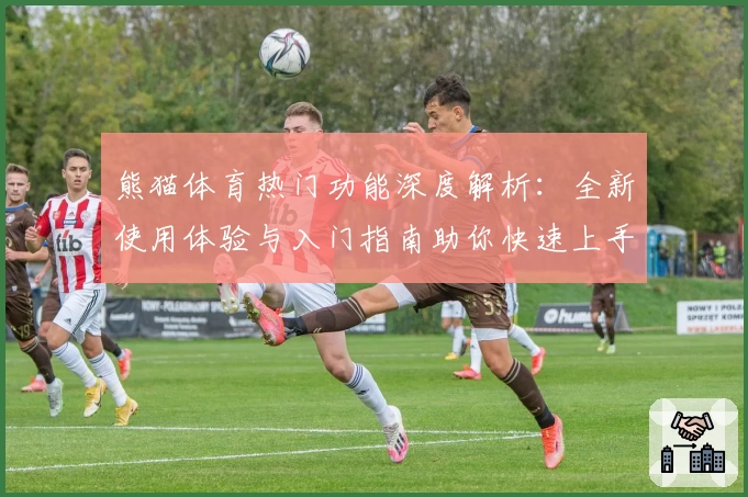 熊猫体育热门功能深度解析：全新使用体验与入门指南助你快速上手