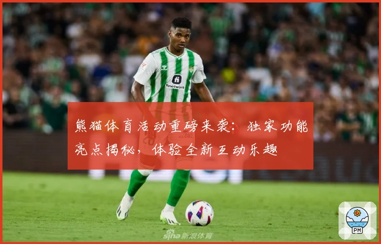熊猫体育活动重磅来袭：独家功能亮点揭秘，体验全新互动乐趣