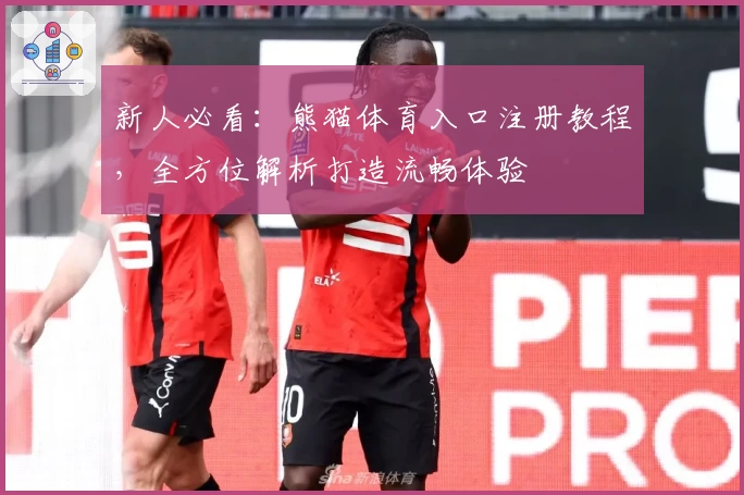 新人必看：熊猫体育入口注册教程，全方位解析打造流畅体验