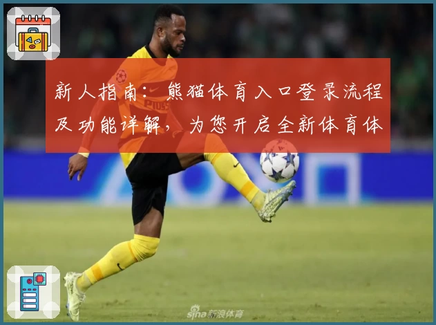 新人指南:熊猫体育入口登录流程及功能详解,为您开启全新体育体验