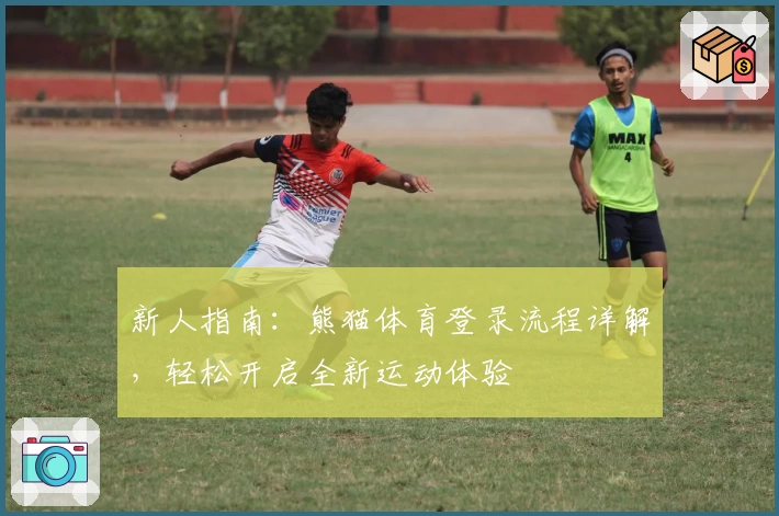 新人指南：熊猫体育登录流程详解，轻松开启全新运动体验