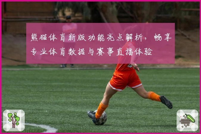 熊猫体育新版功能亮点解析，畅享专业体育数据与赛事直播体验