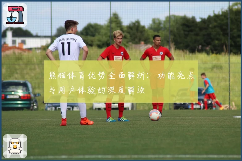 熊猫体育优势全面解析:功能亮点与用户体验的深度解读