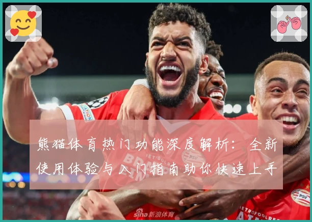 熊猫体育热门功能深度解析：全新使用体验与入门指南助你快速上手