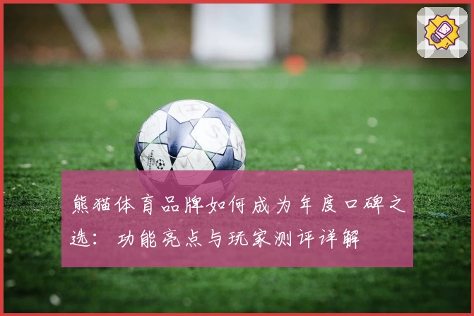 熊猫体育品牌如何成为年度口碑之选：功能亮点与玩家测评详解