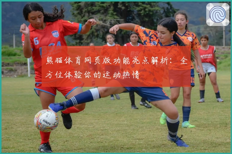 熊猫体育网页版功能亮点解析：全方位体验你的运动热情