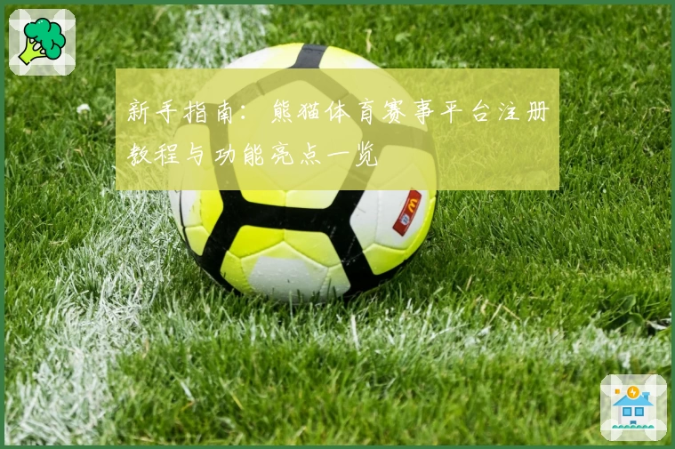 新手指南：熊猫体育赛事平台注册教程与功能亮点一览