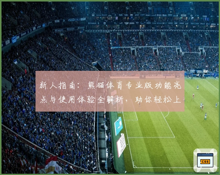 新人指南:熊猫体育专业版功能亮点与使用体验全解析,助你轻松上手