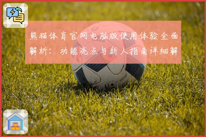 熊猫体育官网电脑版使用体验全面解析：功能亮点与新人指南详细解读