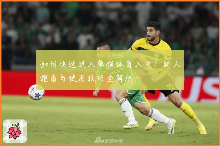如何快速进入熊猫体育入口？新人指南与使用技巧全解析