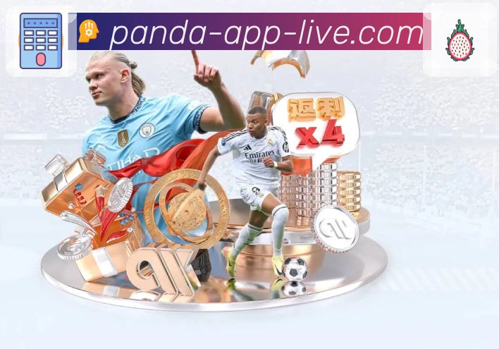 熊猫体育团队风采